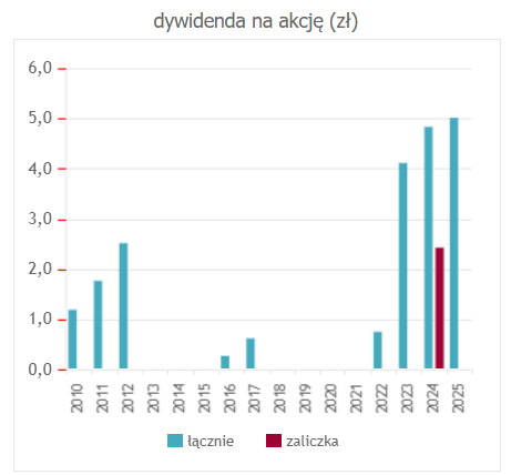 Digital Network dywidenda