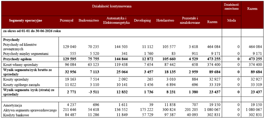 Grupa Immobile segmenty operacyjne